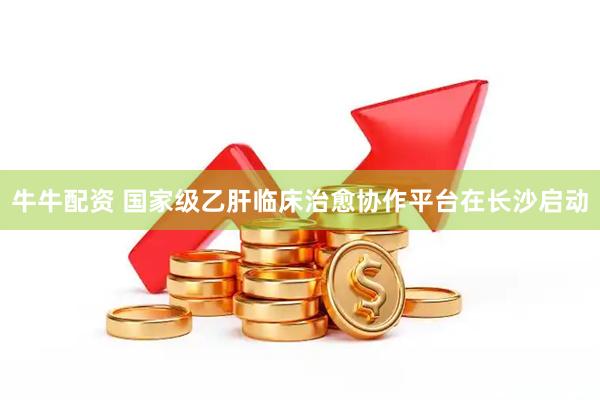 牛牛配资 国家级乙肝临床治愈协作平台在长沙启动