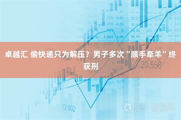 卓越汇 偷快递只为解压？男子多次“顺手牵羊”终获刑