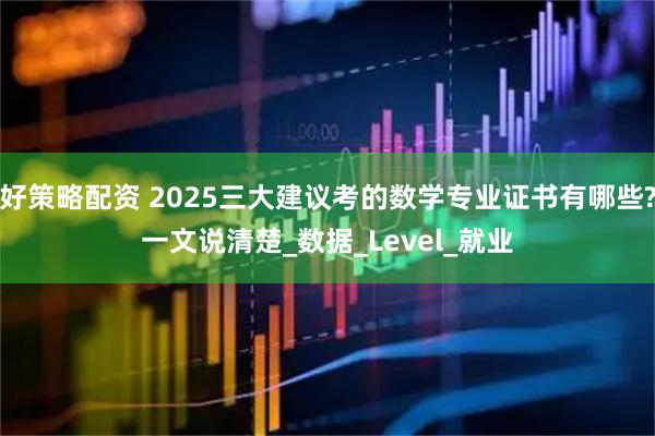 好策略配资 2025三大建议考的数学专业证书有哪些?一文说清楚_数据_Level_就业