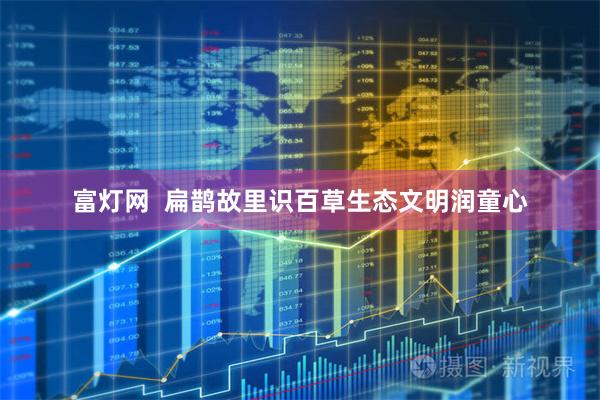 富灯网  扁鹊故里识百草生态文明润童心