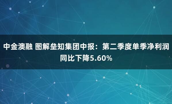 中金澳融 图解垒知集团中报：第二季度单季净利润同比下降5.60%