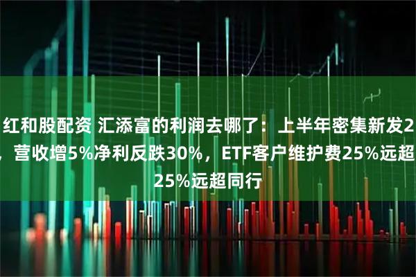 红和股配资 汇添富的利润去哪了：上半年密集新发22基，营收增5%净利反跌30%，ETF客户维护费25%远超同行