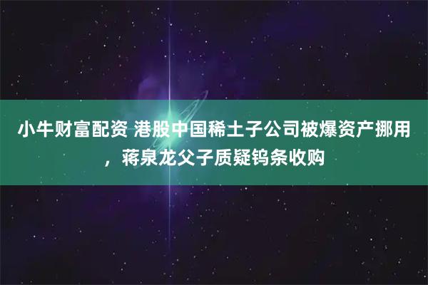 小牛财富配资 港股中国稀土子公司被爆资产挪用，蒋泉龙父子质疑钨条收购