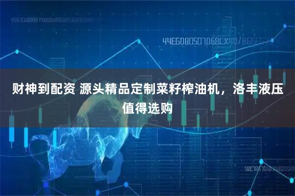 财神到配资 源头精品定制菜籽榨油机，洛丰液压值得选购